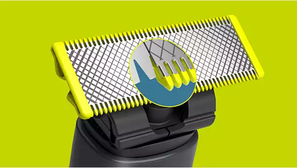 7244b7ff6ff445c9b810b07a00b2f886