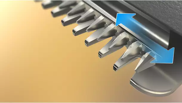 b1f90541ceb1482891b2b1fc00b3e16c